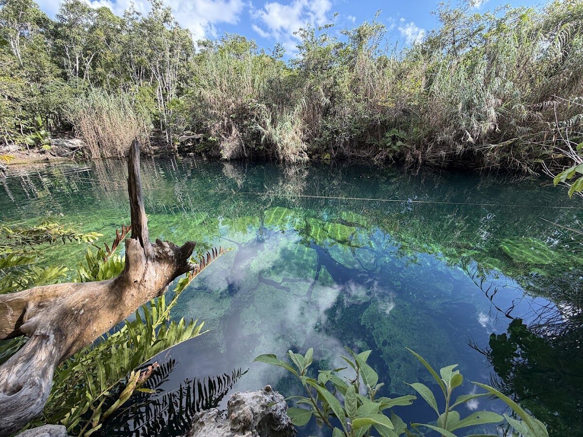 Cenote Cristal abierto con agua transparente y plataforma de salto cerca de Tulum