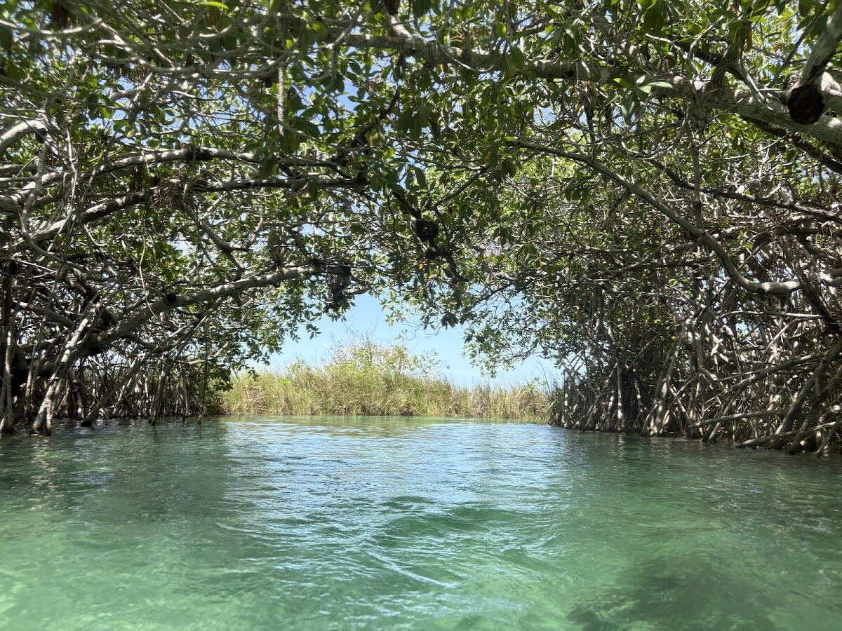 Canal de agua turquesa entre manglares en la Laguna de Muyil, Sian Ka'an