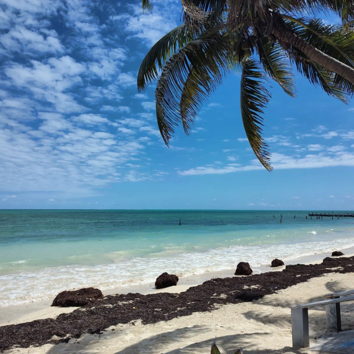 Costa virgen y mar caribe del pueblo pesquero de Punta Allen en Sian Ka'an